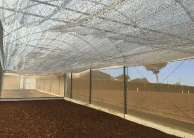 Climatização de estufas agrícolas