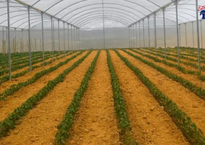 Irrigation and mobile boom