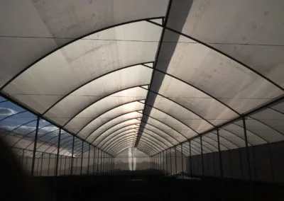 Estufa zenital