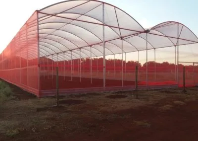 Euro greenhouse