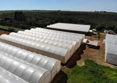 Euro greenhouse