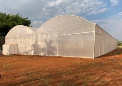 Euro greenhouse