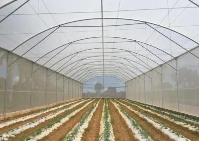 Euro greenhouse