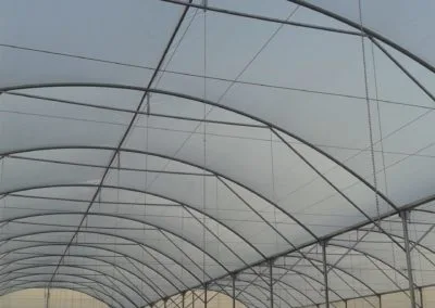 Euro greenhouse