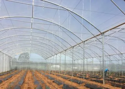 Euro greenhouse