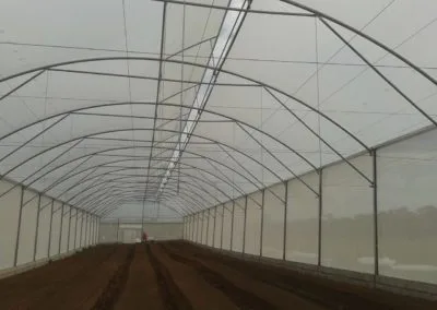 Euro greenhouse