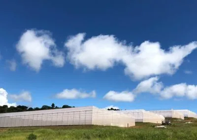 Estufa modelo Sierra