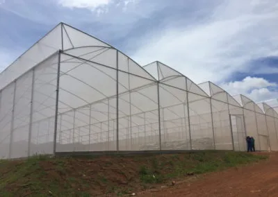 Estufa modelo Sierra