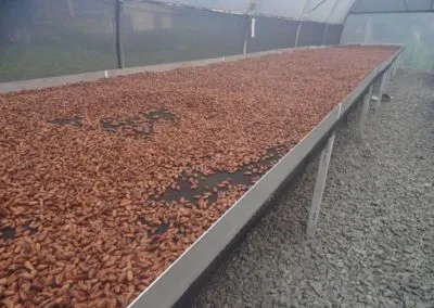 Estufa para secagem de cacau