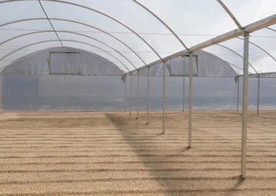 Greenhouse for drying fruits, seeds, grains or waste