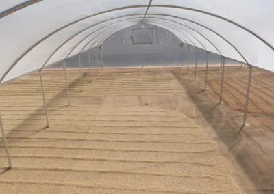 Greenhouse for drying fruits, seeds, grains or waste