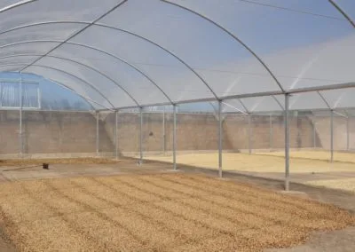 Greenhouse for drying fruits, seeds, grains or waste