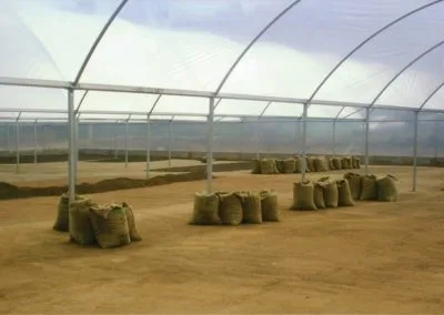 Greenhouse for drying fruits, seeds, grains or waste