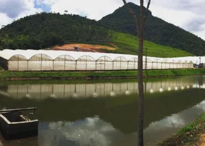 Premium greenhouse