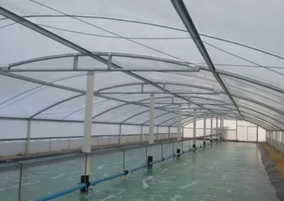 Estufa Shrimp Farm
