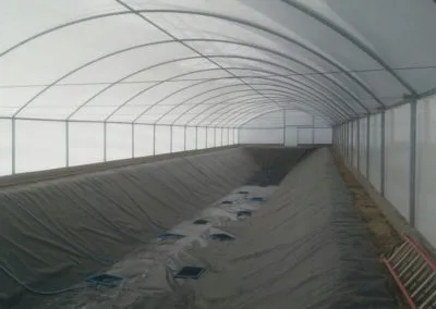 Estufa Shrimp Farm