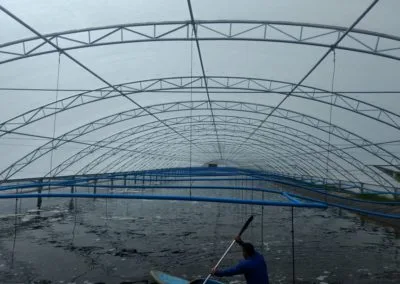 Estufa Shrimp Farm