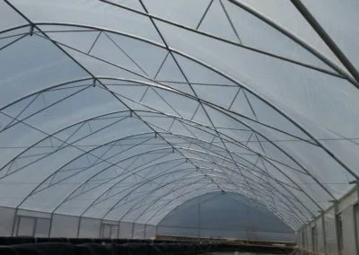 Estufa Shrimp Farm