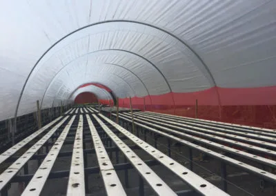 Macro-tunnels and cages