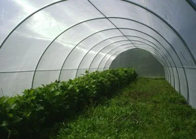 Macro-tunnels and cages