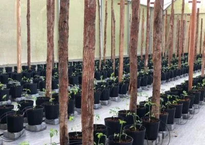 Irrigation and mobile boom