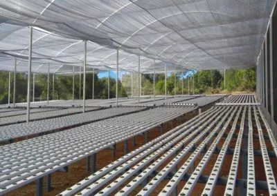 Projetos hidropônicos