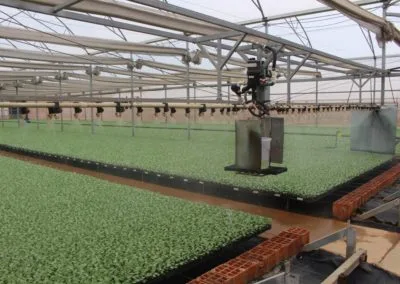 Irrigation and mobile boom