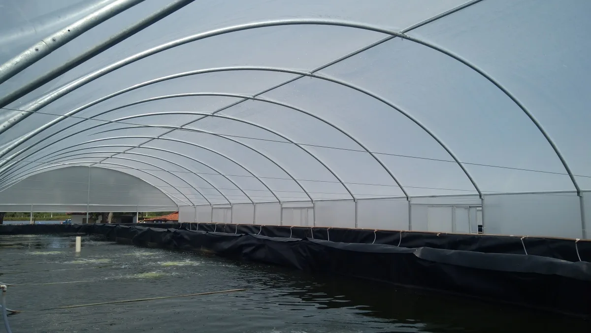 Aquaculture