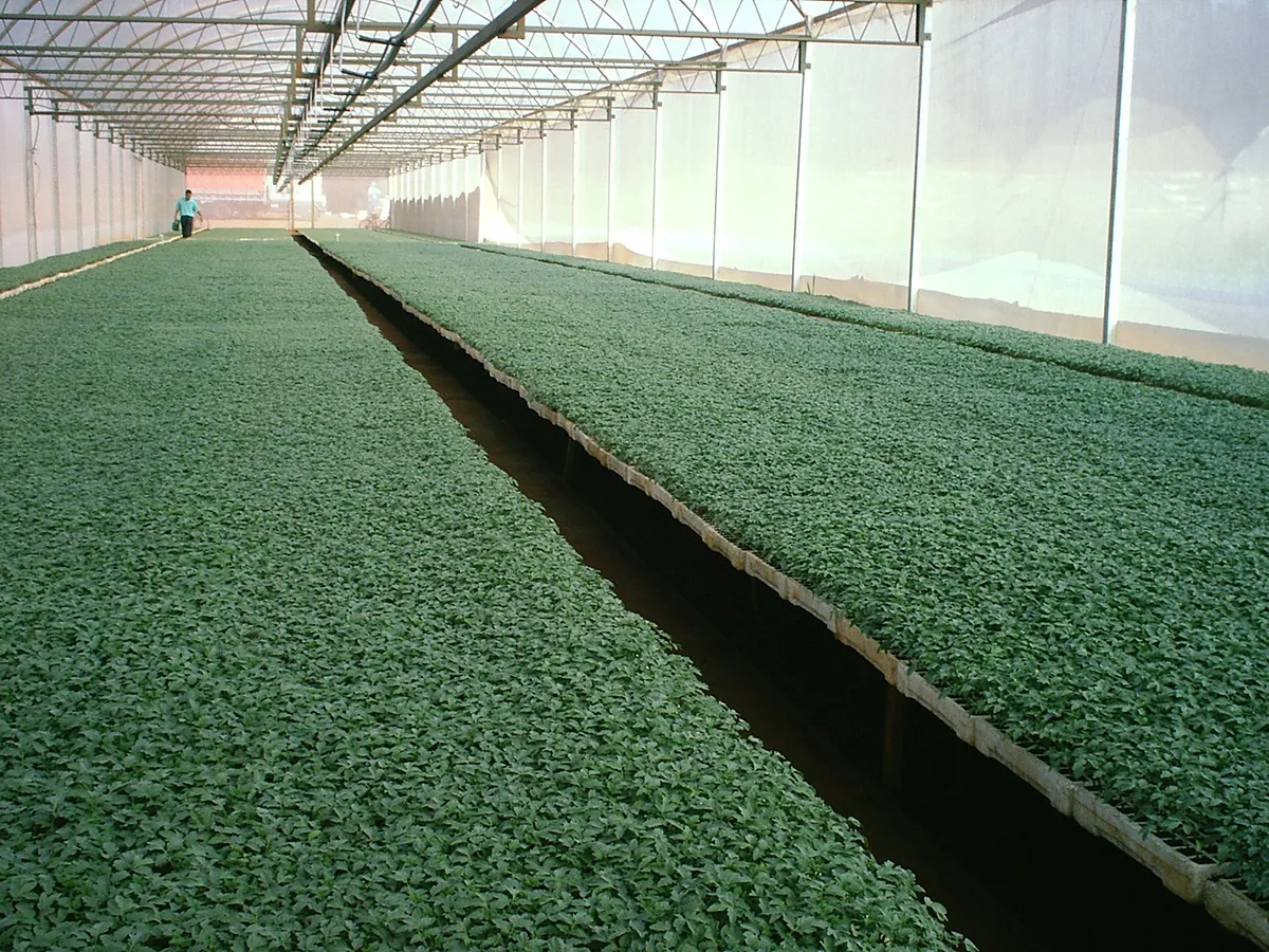 Horticulture