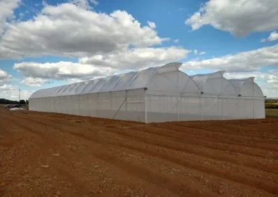 Light greenhouse