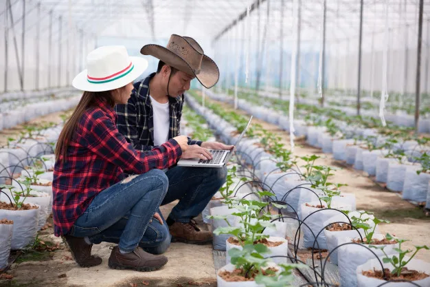 Pesquisa agrícola