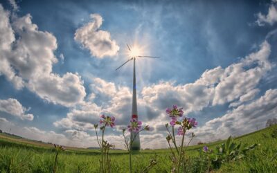 ​5 acciones en el huerto para conmemorar el Día Mundial del Medio Ambiente