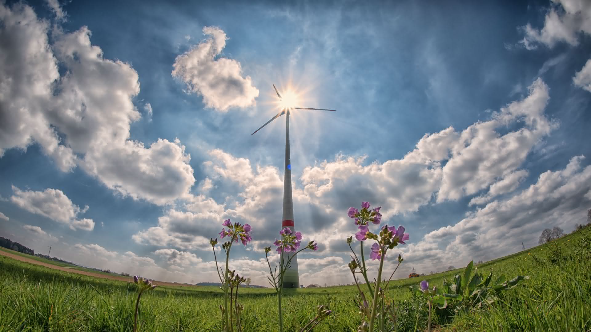 ​5 acciones en el huerto para conmemorar el Día Mundial del Medio Ambiente