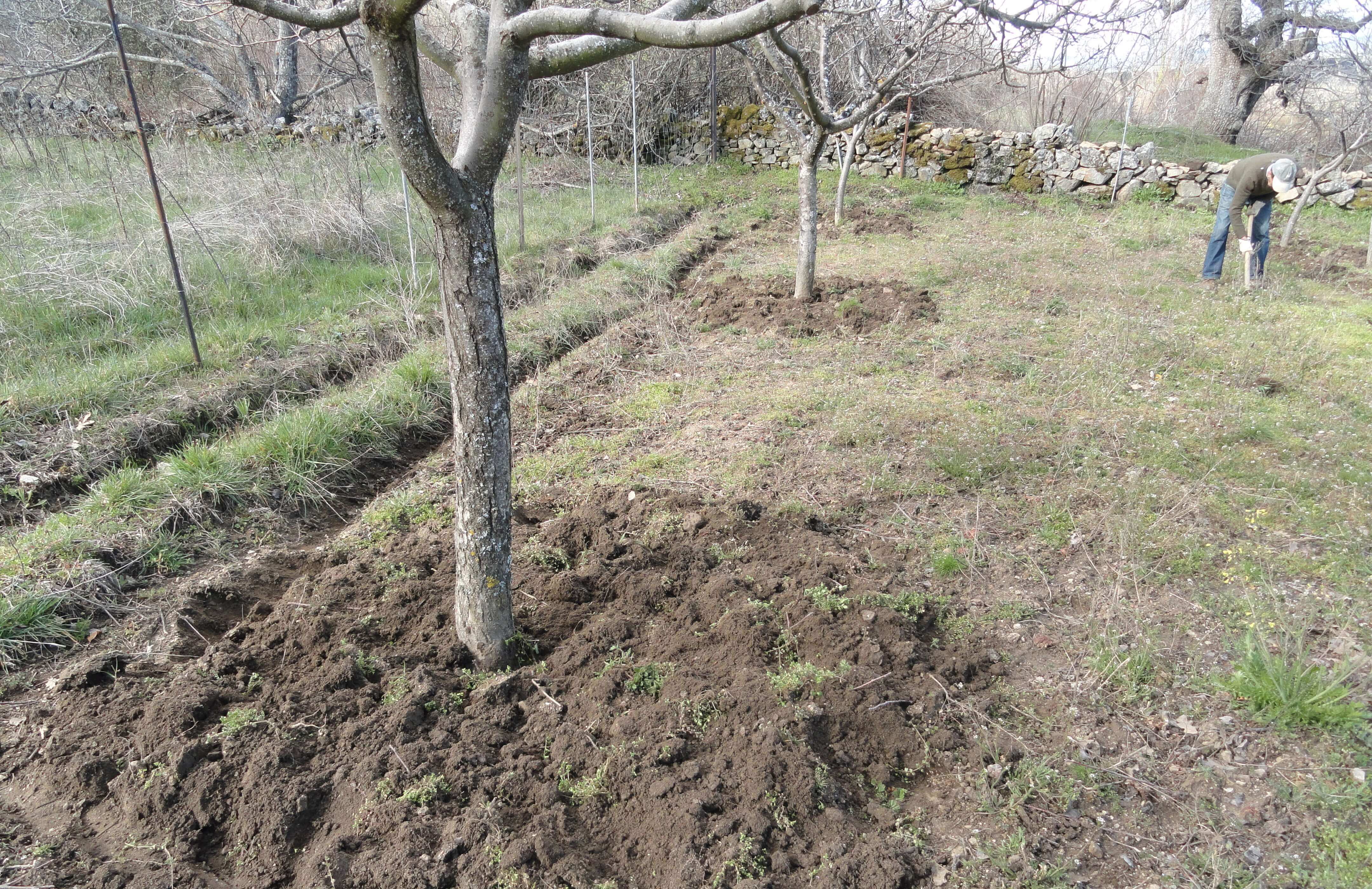 Planeta Huerto entrevista a la Huerta del Corneja: Nuestro concepto de vida poco a poco está cambiando, hacia un modelo mucho más sostenible