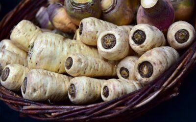 Cómo cultivar Chirivías en nuestro huerto.