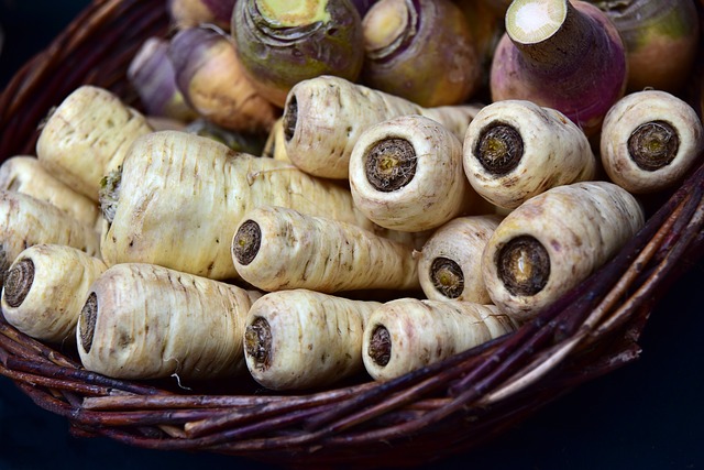 Cómo cultivar Chirivías en nuestro huerto.