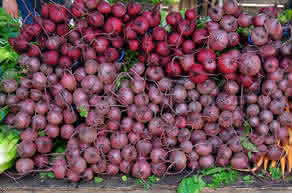 Cómo cultivar Remolachas en nuestro huerto