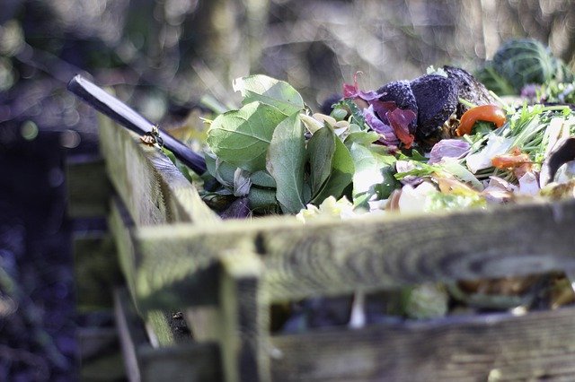 Cómo hacer compost: Guía completa