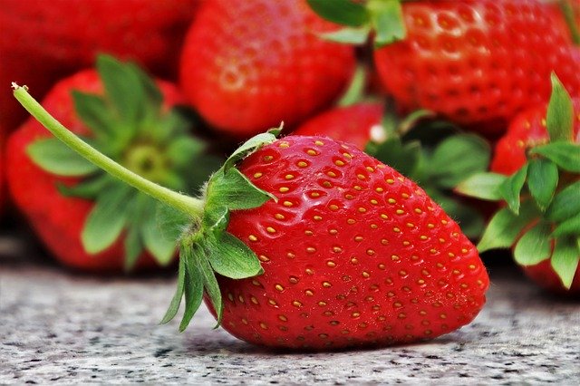 Cómo plantar fresas: un cultivo decorativo