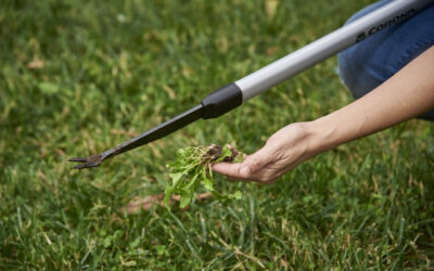 Cómo preparar el jardín para la primavera