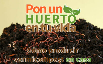 Cómo producir vermicompost en casa