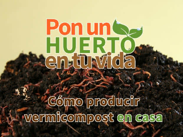 Cómo producir vermicompost en casa