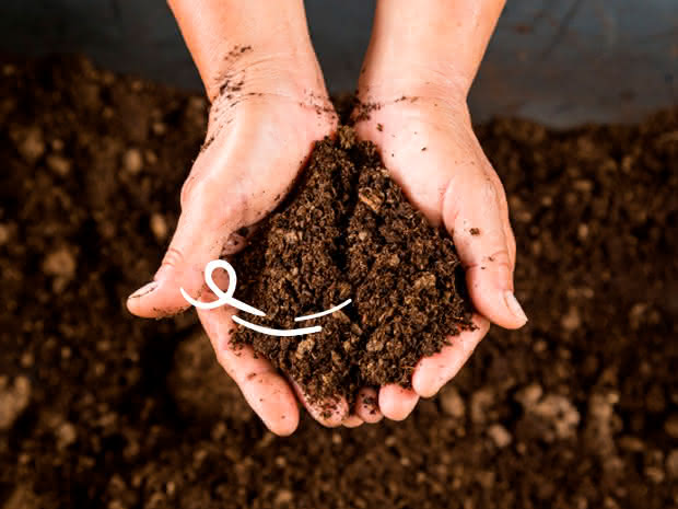 Compost doméstico