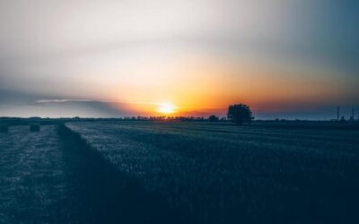 Condiciones de la tierra de cultivo