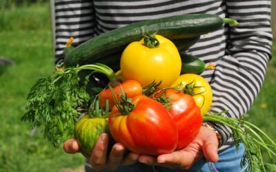 El huerto de casa en mesas de cultivo