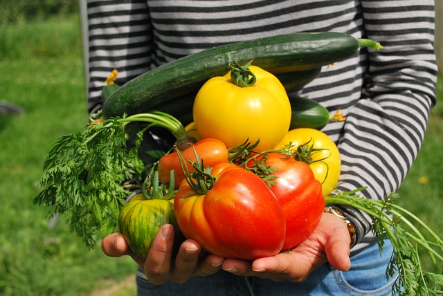 El huerto de casa en mesas de cultivo