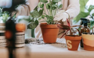 Guía de Insecticidas para plantas