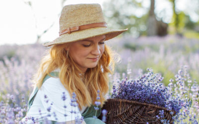 Pasos para cultivar lavanda