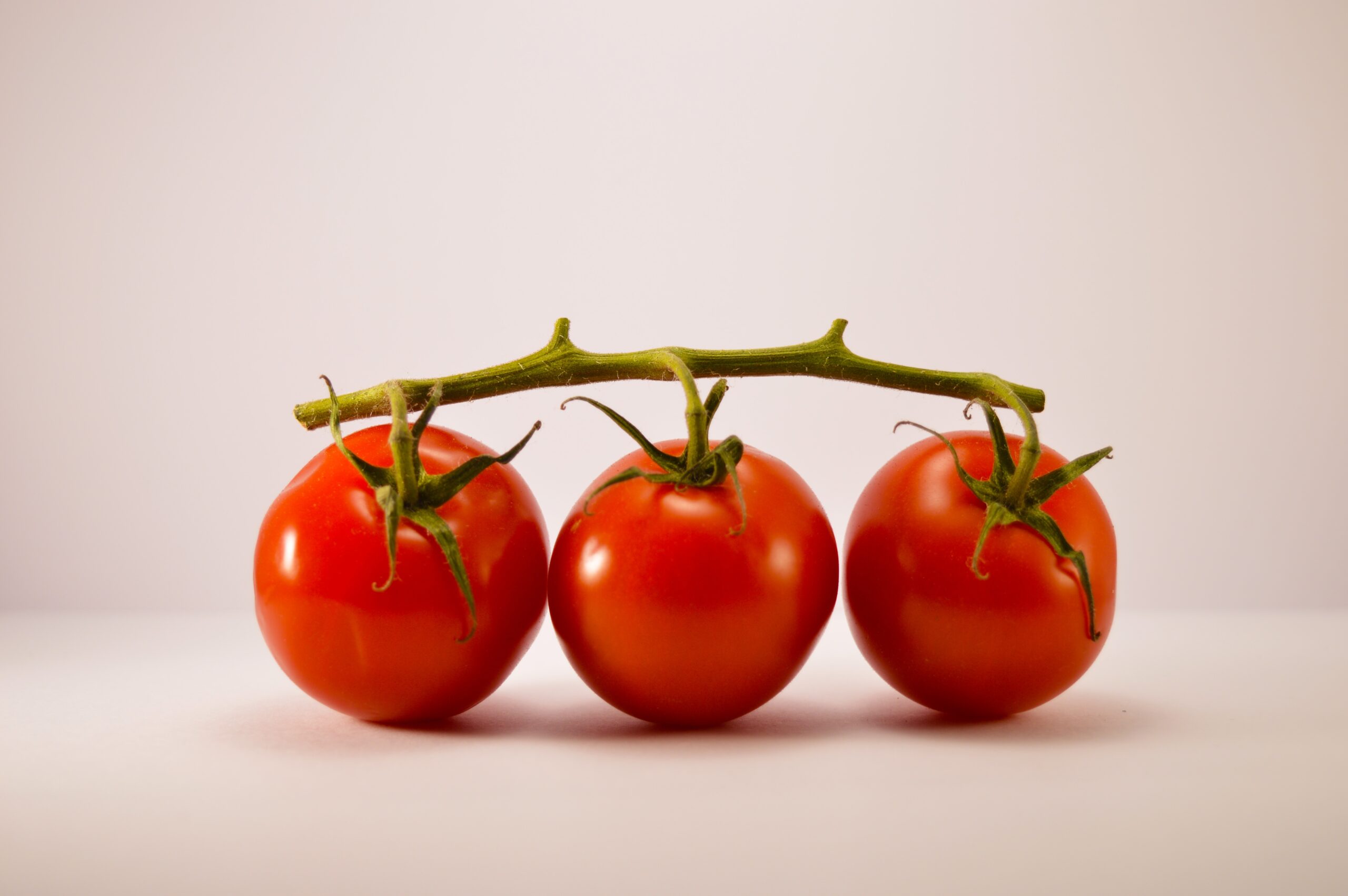 Tomate, salud al alcance de tu mano