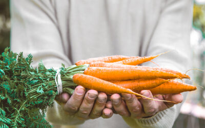 Zanahorias: cultivo sabroso y saludable